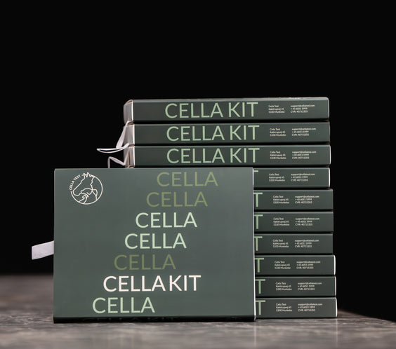 Cella kit.jpg__PID:d00bd6da-c907-4467-adac-67429a98dc97