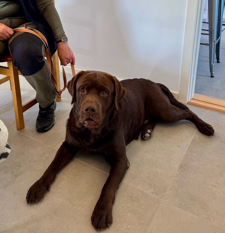 Skærmbillede 2026-02-12 kl. 22.24.20.png__PID:0ade784e-bbe8-4203-861c-f7a399f3109f