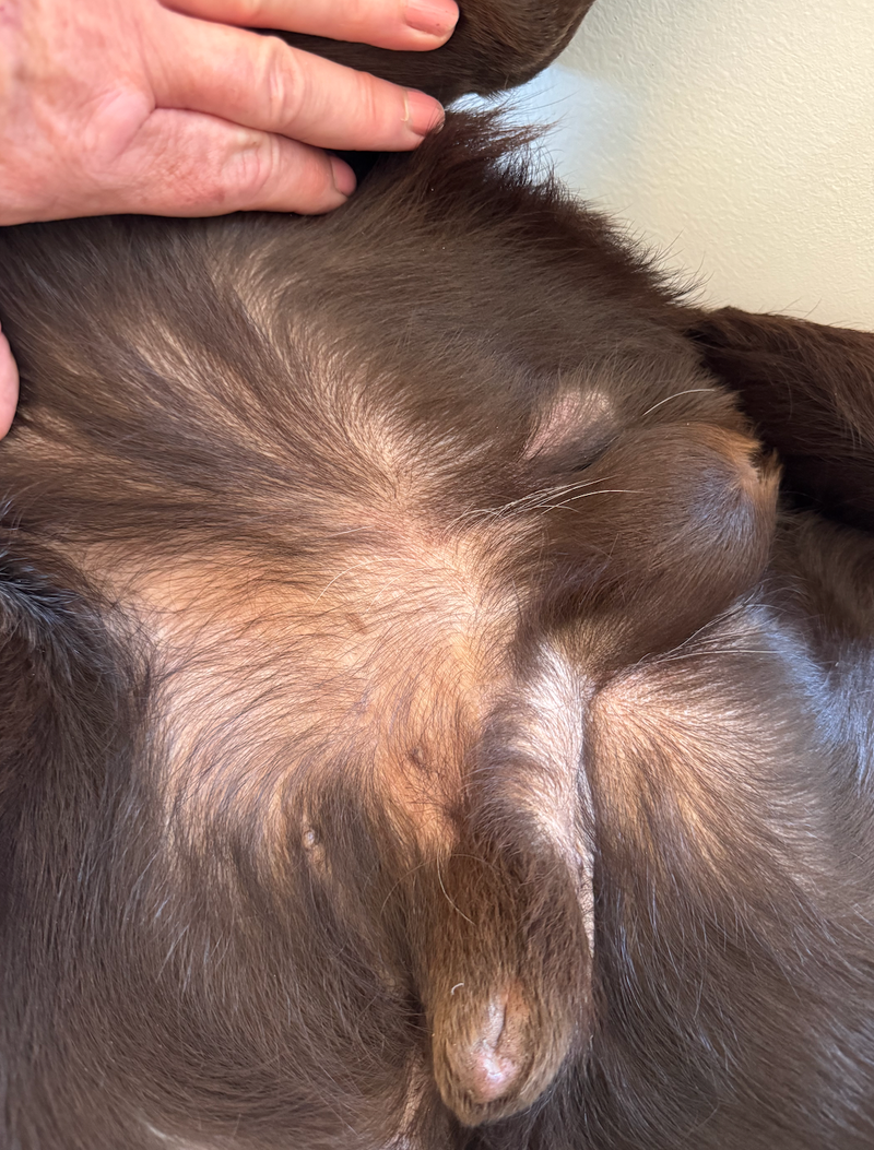 Skærmbillede 2026-02-12 kl. 22.24.35.png__PID:de784ebb-e812-4386-9cf7-a399f3109f19