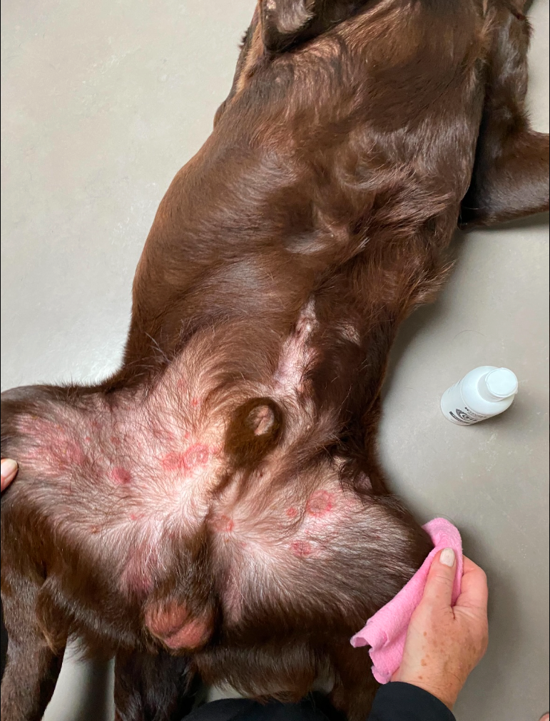 Skærmbillede 2026-02-27 kl. 20.10.47.png__PID:4ebbe812-0386-4cf7-a399-f3109f19f2b7